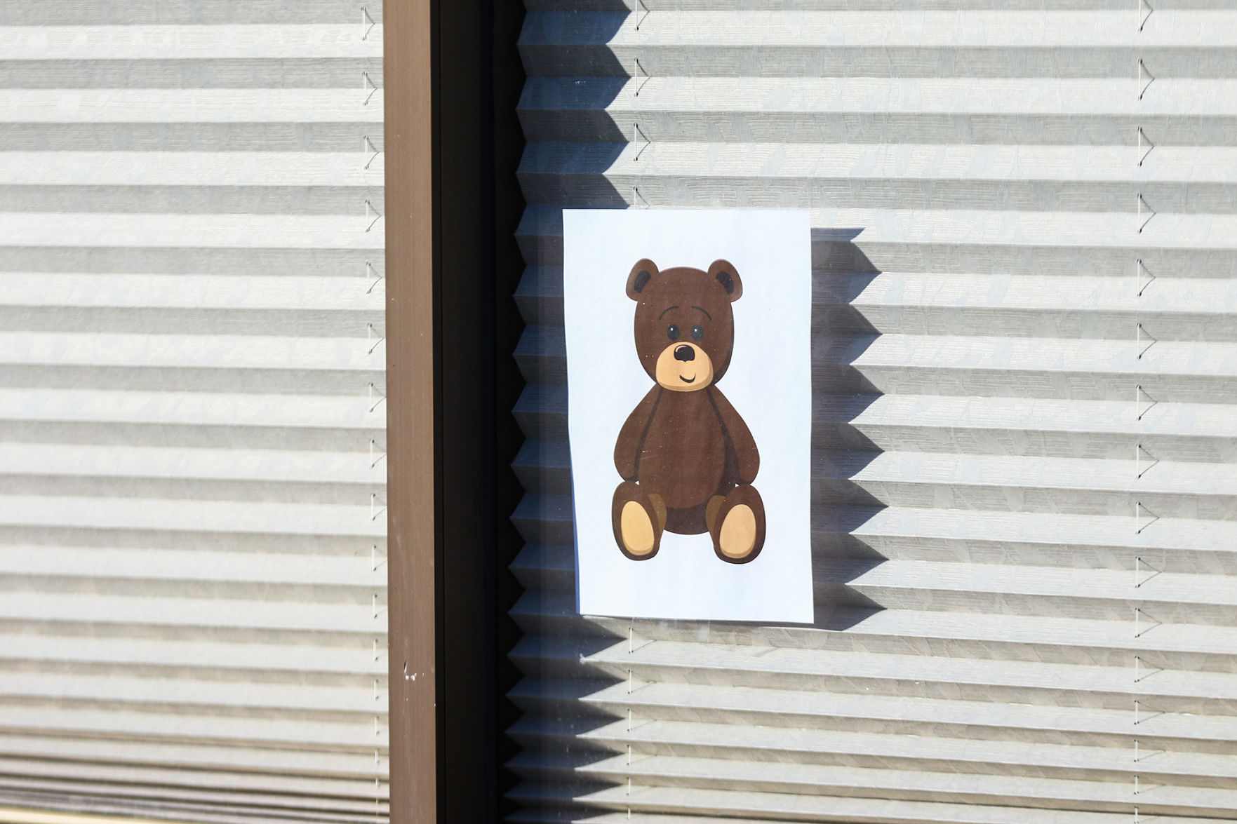 PHOTOS: Bear Hunt
